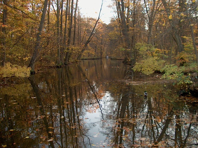 Nyphenburger Park 051 